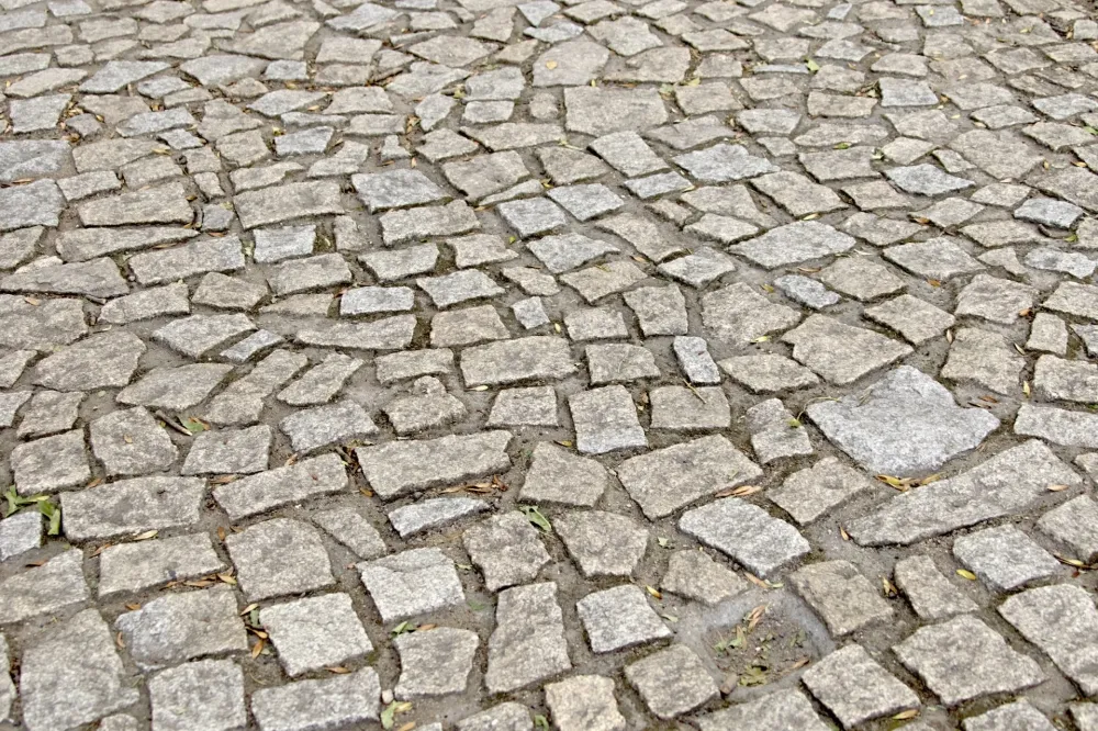 géophysique (1)webp